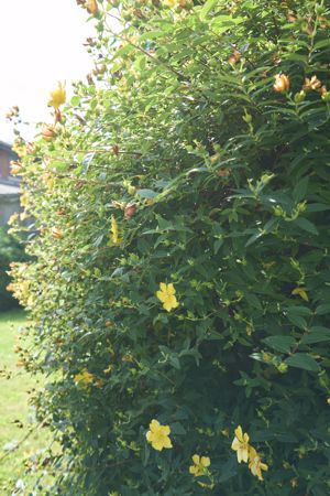 Photo 63- click for photo gallery